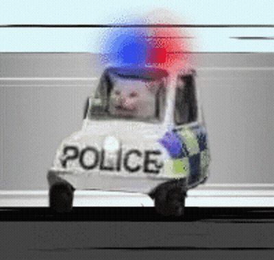 Police Car With Cat Driving GIF