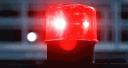 Police Lights Cap Alert Liar Lie GIF