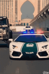 Police Lights Cop Care Sports Car Lamborghini  GIF
