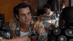 Police Lights Detective Ace Ventura That's It