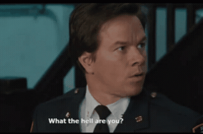 Police Man Asks What The Hell Are You GIF