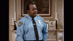 Police Officer Frustration GIF