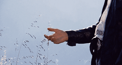 Police Officer Hand Reaching To Touch Grass GIF