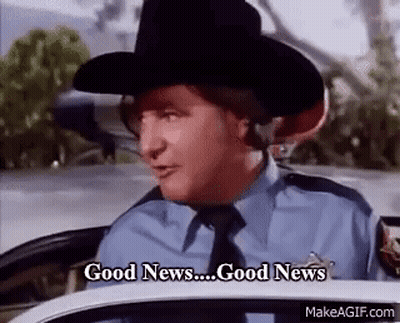 Police Officer In Cowboy Hat Sitting In Car GIF