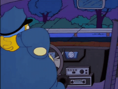 Police Officer Talking To Driver GIF