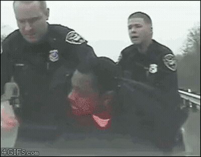 Police Officers Holding Man In Car GIF