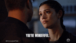 Police Woman Youre Wonderful GIF