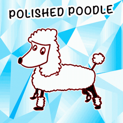 Polished Poodle With Blue Background GIF