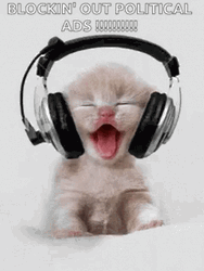 Political Ads Cat Headphones