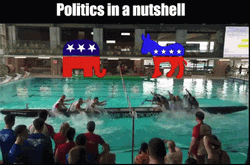 Politics Republicans Democrats Rowing Meme