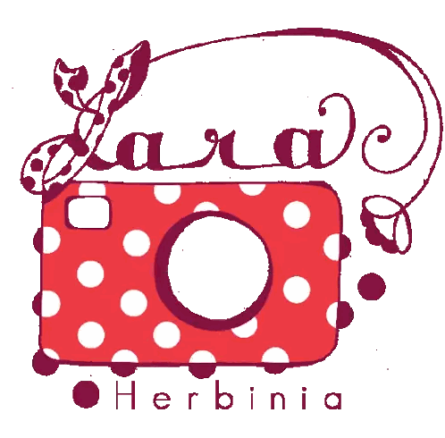 Polka Dot Camera With Darling Text Sticker