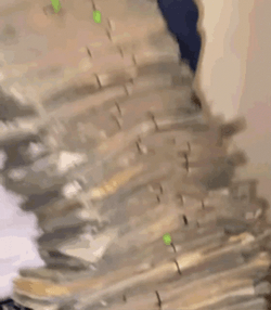 Polo G Showing Big Stack Of Money GIF