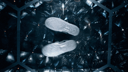 Poltergeist Hello From The Other Side GIF