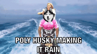 Poly Husky Making It Rain On Jet Ski GIF