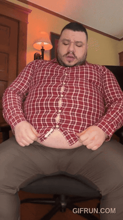 Pomeranian Dog Being Petted On Table GIF