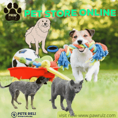 Pomeranian Dog With Pink Ribbon Saying To The Warriors You Got This Big Love GIF