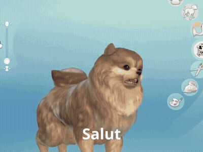 Pomeranian Dog With Salut Video Game GIF