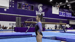 Pommel Horse Perfect Landing GIF