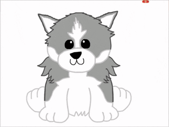 Pomsky Puppy GIF