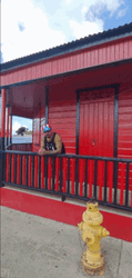 Ponce Puerto Rico Red House GIF