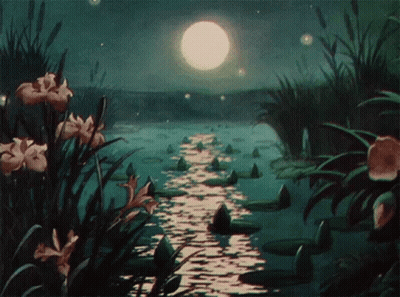 Pond With Flowers And Full Moon GIF