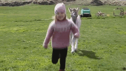 Pony Following Young Girl GIF