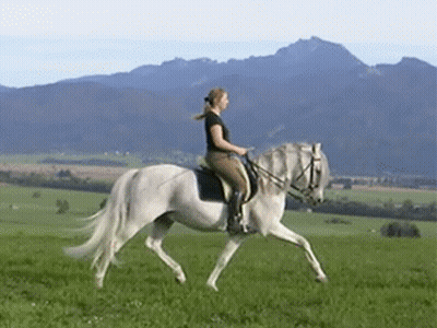 Pony Saying Nope I'm Good GIF