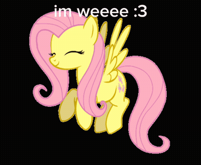 Pony With Wings Saying Im Weeeee GIF