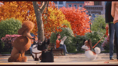 Poodle And Two Dogs Walking In Park While Woman Reads On Bench GIF