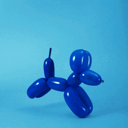 Poodle Balloon Hopping To Finish Line GIF