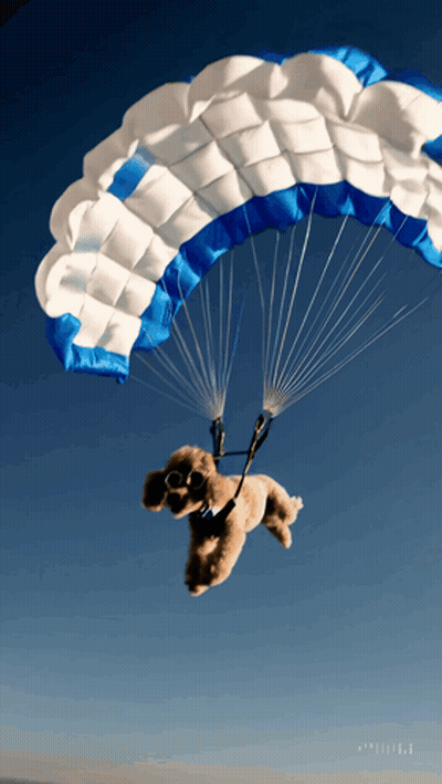 Poodle Flying With Parachute GIF