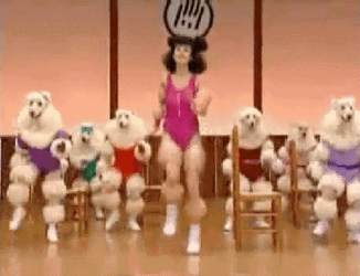 Poodle Having Aerobics Exercise GIF