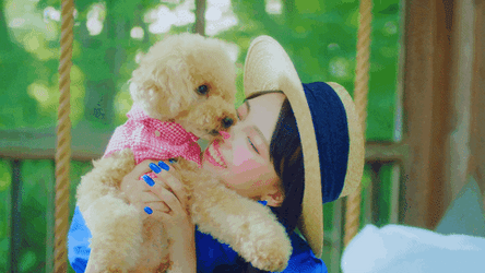 Poodle Licking Humans Nose GIF