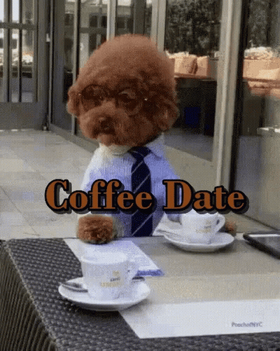 Poodle Wearing Glasses And Tie At Table With Coffee Cups GIF