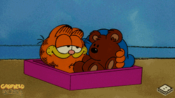 Pookie Garfield Cuddles GIF
