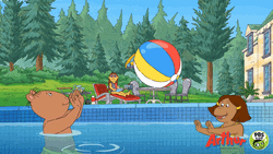 Pool Party Ball Pass Arthur GIF