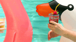 Pool Party Boys Cheers GIF
