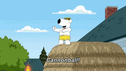 Pool Party Family Guy Dog GIF