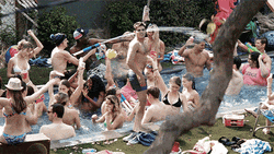 Pool Party Fun Dancing GIF
