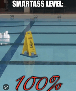 Pool Smart Meme GIF