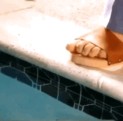 Pool Water Weird Testing  GIF