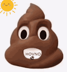 Poop Emoji With Sun And Flies GIF