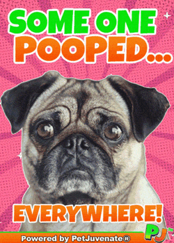 Poop Pj Dog Pooping Dog Funny Gif Petjuvenate Housetraining GIF