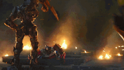 Poor Bumblebee Got Beaten GIF