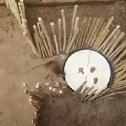 Poor Trapped Mouse Hiding GIF