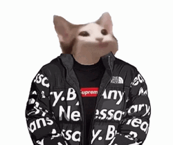 Pop Cat Meme Supreme Outfit