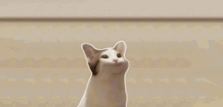 Pop Cat Oatmeal Animation