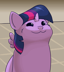 Pop Cat Oatmeal Twilight Pony GIF
