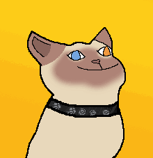 Pop Cat Siamese Cartoon