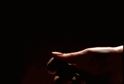 Pop Champagne Closeup Shot GIF